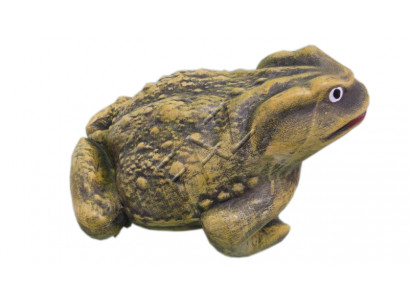 Design Frosch Figur Gaart Statue Skulptur Figuren Skulpturen Dekoratioun c549