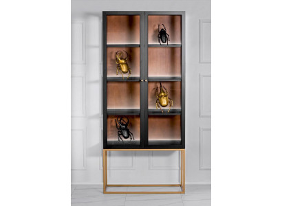 Vitrinnenschief Vitrinnenschief Holz Glas Miwwele Design Wunnzëmmer Glasschief