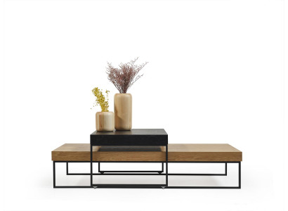 Loft Holz Couchtisch Dësch Bäitriedsdësch Wunnzëmmertësch Holz Dësch