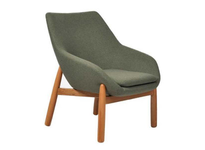 Grénge Iesszëmmerstull Wunnzëmmer Still Designer Einsëtzer Holzbeen