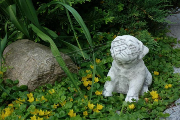 Gartendekoratioun Hond Terrass Steen Figur Figuren Wäiss Dekorativ Statue