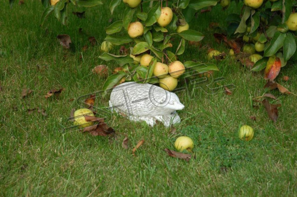 Gaart Dekoratioun Igel Terrass Steen Figuren Figur Deko Statuéiert