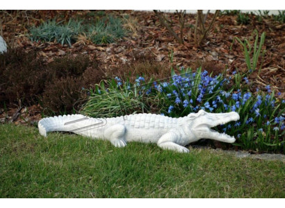 Gaart Dekoratioun Krokodil Terrass Steng Figuren Figur Statue