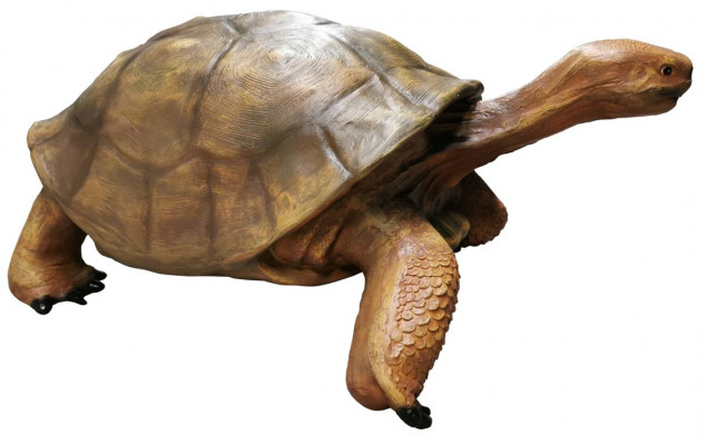 Designerfigur Moderne Figuren Dekoratioun Schildkröt Gaart Skulptur Skulpturen