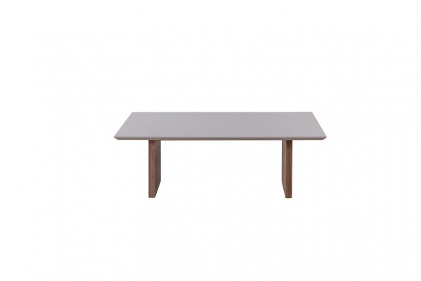 Couchtisch 120 x 68 Dësch Miwwelen Ariichtung Holzdëscher Modern Miwwelen