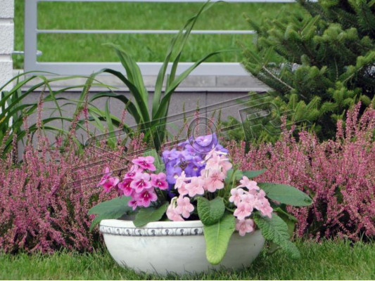 Blummegrass Blummen Figuren Vase Behälter Gaart Terrass Dekoratioun Statu