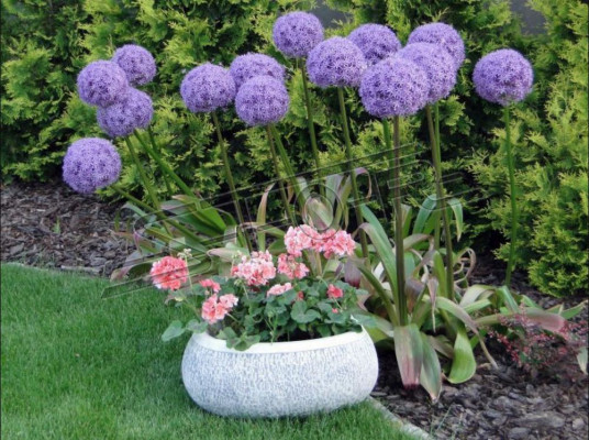 Blummekübel Natur Planz Kübel Dekoratioun Gaart Vase Figur Blummendëppen