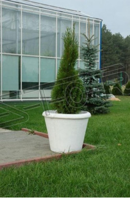Blummekübelen Planzkësch Dekoratioun Figur Vase Gaart Blummendëpper Natur