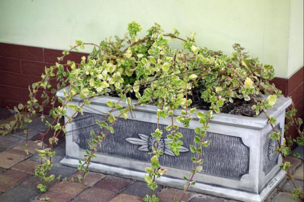 Blummendëppen Planzen Dëppen Dekoratioun Natur Figur Vasen Gaart Blummendëppen