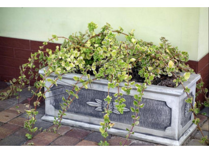 Blummendëppen Planzen Dëppen Dekoratioun Natur Figur Vasen Gaart Blummendëppen