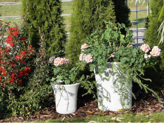 Blummebeet Planz Kübel Dekoratioun Vasen Gaart Figur Blumentöp Natur