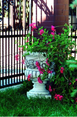 Blummendëppen Planzendëppen Natur Dekoratioun Figur Vase Blumendëppen Gaart