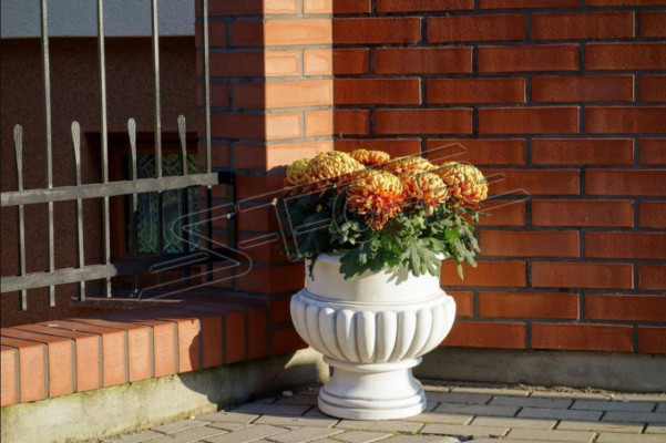 Blummendëppen Dekorativen Këscht Dëppen Blummen Dëppen XXL Beton Gaart Terrass.