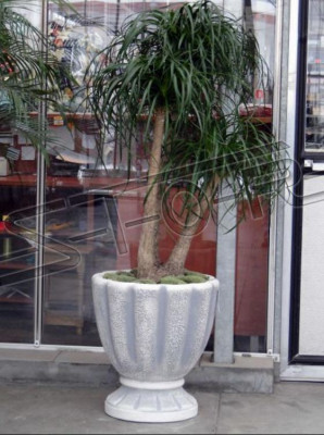 Blummendëppen Këscht Dëppen Blummen Dekorativ Dëppen XXL Beton Gaart Terrass