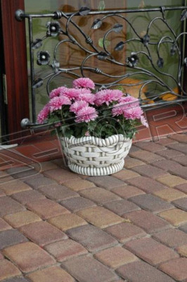 Blummendëppen Këscht Dëppen Blummen Dëppen XXL Gaart Beton Dekorativ Terrass