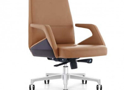Bürostull Chefsessel Fauteuil Lieder Polster Dréibar Computer Dekoratioune Still
