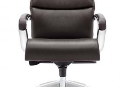 Bürostull Chefsessel Fauteuil Lieder Gepolstert Dréiend Dekor Computerstill.
