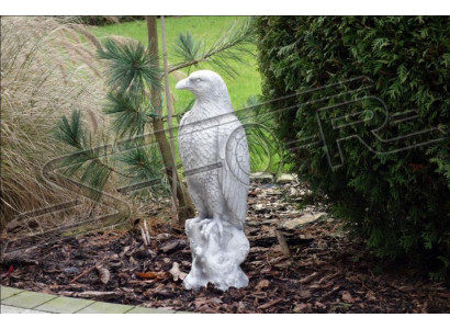 Statu Adler Gaart Dekorativ Statue Skulptur Skulpturen Figuren Statuen