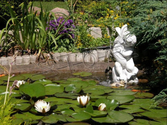 Fontänen Figur Statu Figurë Statuen Skulptur Skulpturen Gaart