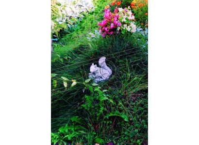Gaart Dekoratioun Eekhoorn Statue Skulptur Figuren Design