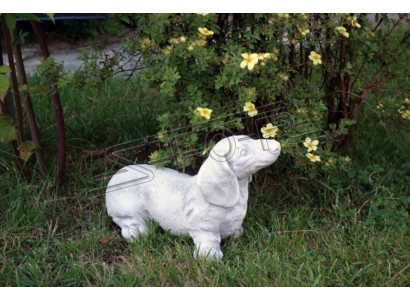Gaardendekoratioun Dackel Terrasse Figuren Figur Dekor Statuett