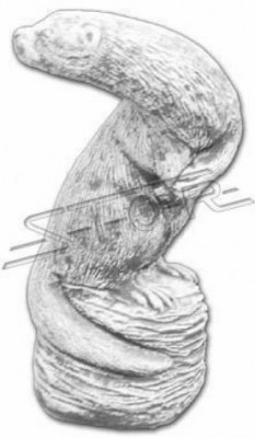 Gaart Dekoratioun Frettchen Terrass Steen Figuren Figur Dekoratioun