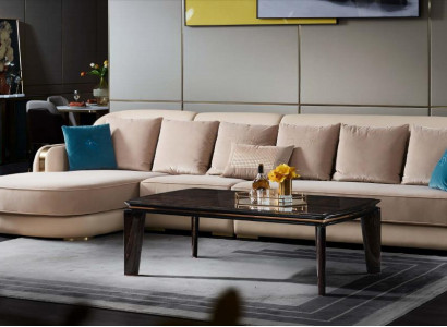 Canapézäit Dësch Wunnzëmmer Holz Modern Design Miwwelen Luxus Dësch Dëscher