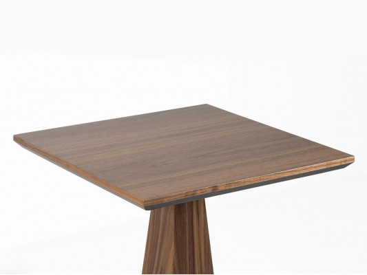 Wunnzëmmer Niewentisch Holz Ariichtung Design Kaffisdësch Neit Miwwel