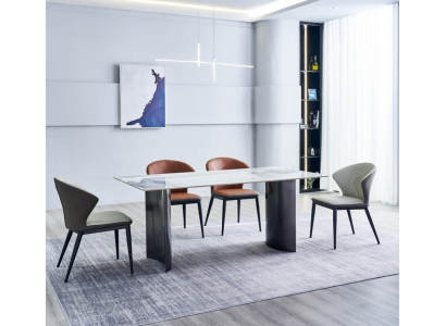 Iesszëmmer Miwwelen Modernen Iessdësch 6x Gestillsëtzer Designer Iessgrupp