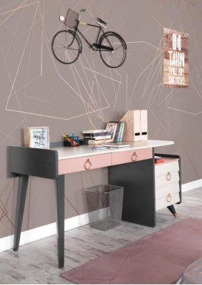 Sekretariatsdësch Design Luxus-Schreifmiwwel Holzdëscher