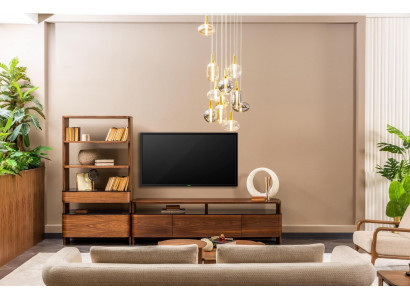 Wunnwand TV Ständer Bicherregaler RTV Lowboard Sideboard Brong Holz Set