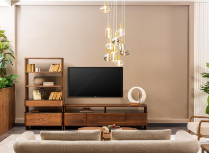 Wunnwand TV Ständer Bicherregaler RTV Lowboard Sideboard Brong Holz Set