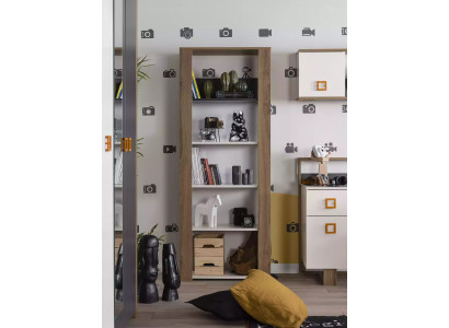 Bicherregal Staregal Kannerregal Regal Bicherkabinett Holz Braun Nei