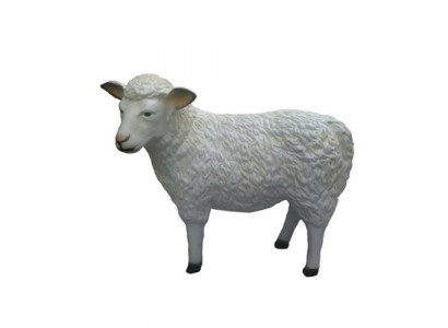 Schof Dekorativ Statue Gaart Figure Statuen 80 cm Liewensgréisst Figur