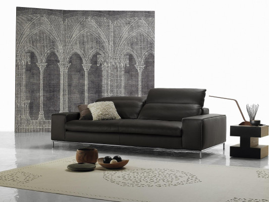 Moderne Sofa 2 Sëtz Luxus Lieder Sofasen Zwee-Sëtz Wunnzëmmer Design Prianera Couch