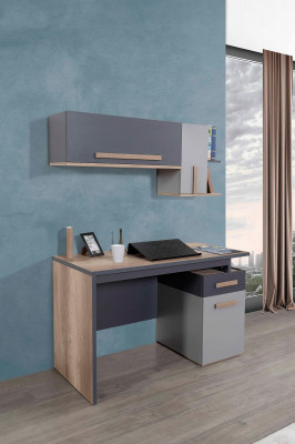 Schreifdësch Modern Dësch Wandregal Holz Jugend Kannerzëmmer Miwwelen Design
