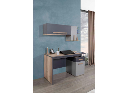 Schreifdësch Modern Dësch Wandregal Holz Jugend Kannerzëmmer Miwwelen Design