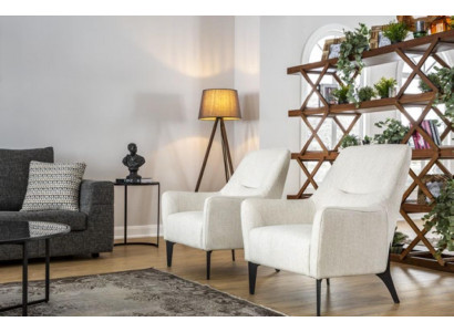 Fauteuil Modernen Einsëtzer Design Neit Fauteuil Ariichtung Wunnzëmmer Sofa 1 Sëtz.