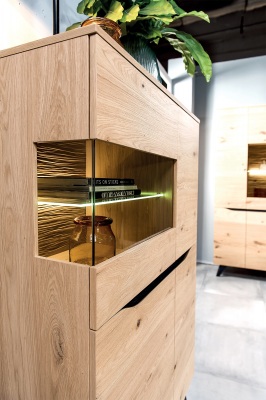 Luxus Glas Modern Vitrine Holz Designer Schaf Vitrinen Regal Regaler Schief.