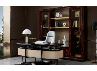 Design Schaf Bicherregal Vitrinn Dokumenterregal Büro Ariichtung Regal