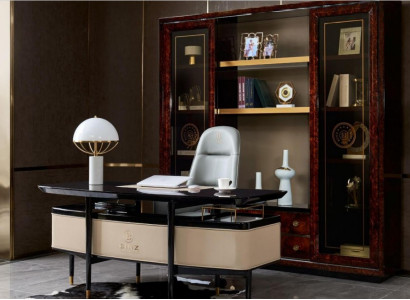 Design Schaf Bicherregal Vitrinn Dokumenterregal Büro Ariichtung Regal