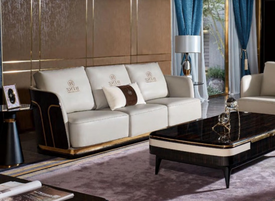 Drësëtzeger Canapé Polstersofa Couchen Designer Ledercouchen Wäiss