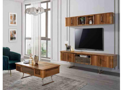 TV Miwwel Fernseeisch Design Fernsee Schaf Wunnwand Dësch RTV Schaf Niddregschaf