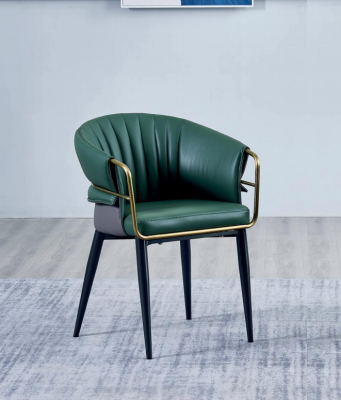 Grénge Iesszëmmerstull Designer Holzbee Kënschtläderstull Edelstol Miwwelen
