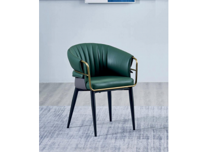 Grénge Iesszëmmerstull Designer Holzbee Kënschtläderstull Edelstol Miwwelen