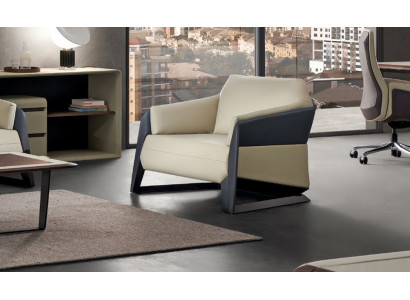 Sesselen Fernsehstull Designer Deko Polstersëtz Armliehltstull Relaxsëtz