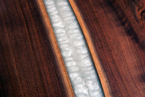 Konferenzdësch Versammlungsdëscher Design Dësch Epoxidharz Kichendësch
