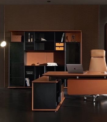 Büro Bicherregal Aktenchiffer Schaf Luxus Miwwelen Stil Antik Schief