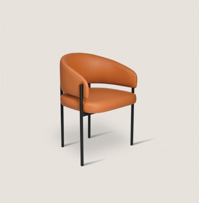 Orangen Luxus Stull Modern Iesszëmmer Still Polster Konschtlieder Miwwelen