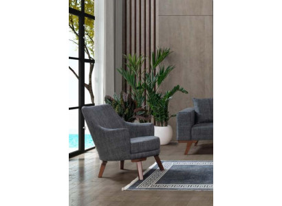 Design Wunnzëmmer Fauteuil Einsëtzer Modern Grouw Polster Miwwelen
